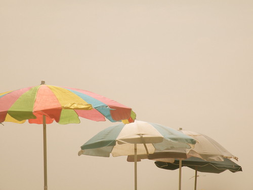 MF Umbrellas