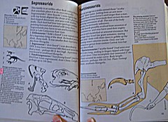 A Field Guide to Dinosaurs, 1983, Page 90 and 91
