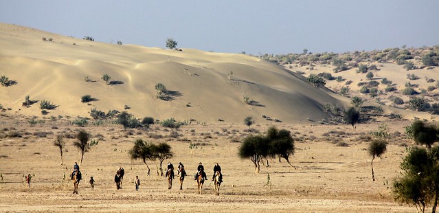 jaisalmer camel safari