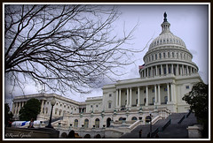 US Capitol House • <a style="font-size:0.8em;" href="http://www.flickr.com/photos/41711332@N00/5501698102/" target="_blank">View on Flickr</a>