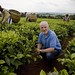 Peter Marks in Fairtrade tea field in Kericho, Kenya