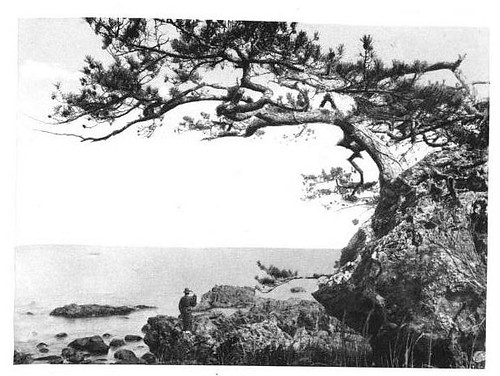 Matsushima from Japan and Her People 1902