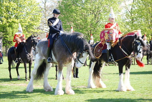 The Household Cavalry Mounted Regiment