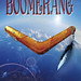 Cartel-Boomerang
