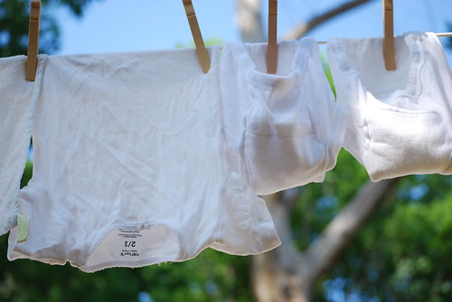 a wee one's undergarments. 