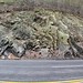 9W Dump Spot Highway