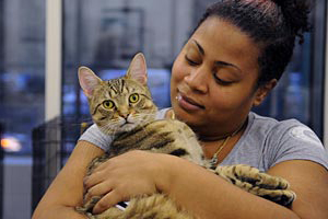 Woman holding a shelter cat