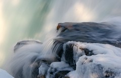 Athabasca falls