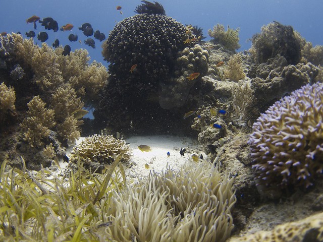 Marine Sanctuary