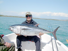 What a Catch! 70+ Bluefin