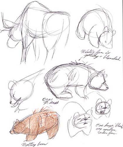 6.28.11 - Maine Wildlife Park Sketches