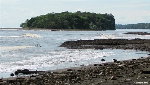 Playa Tortuguero