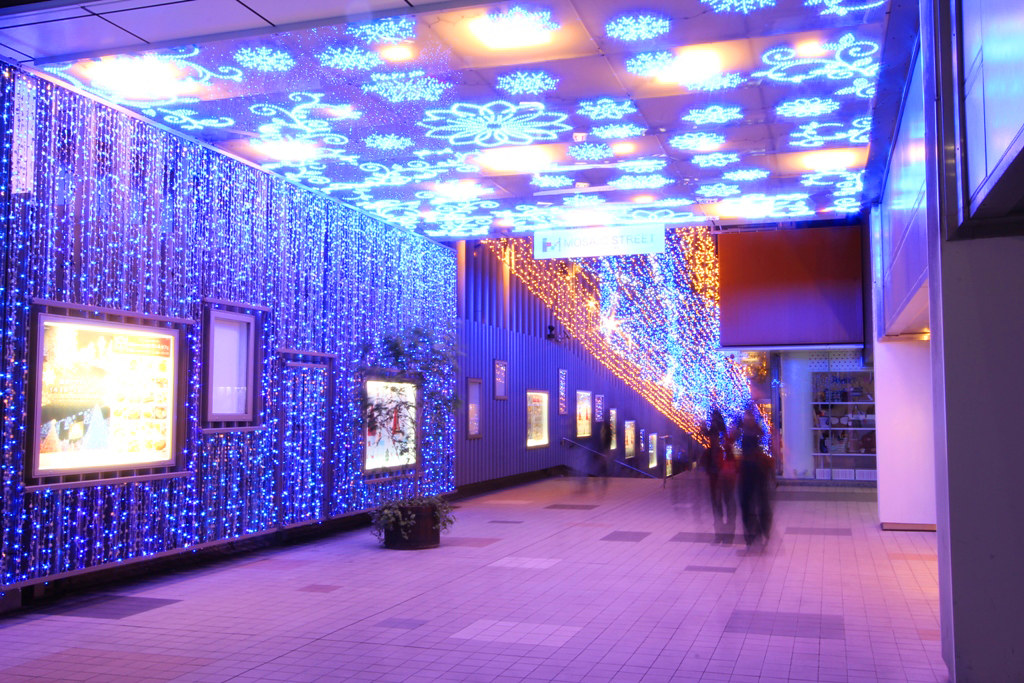 Shinjuku Xmas illumination 2010 (7)