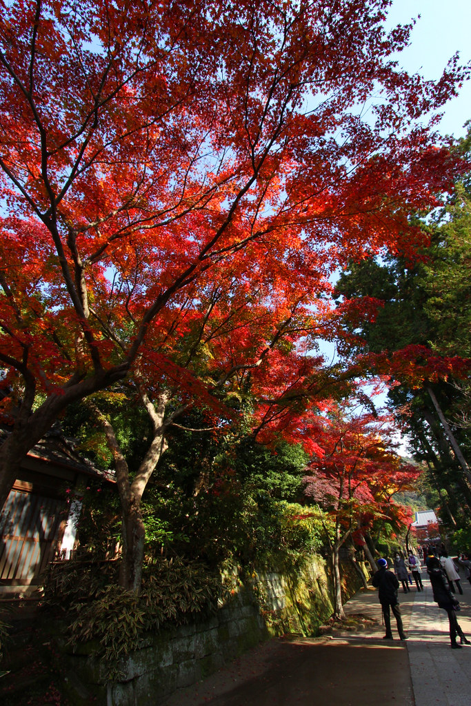 Kita Kamakura Walking Guide (4)