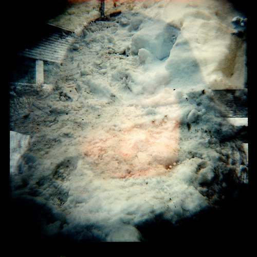 My first Diana F+ pictures