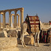 Camel at Palmyra, Syria
