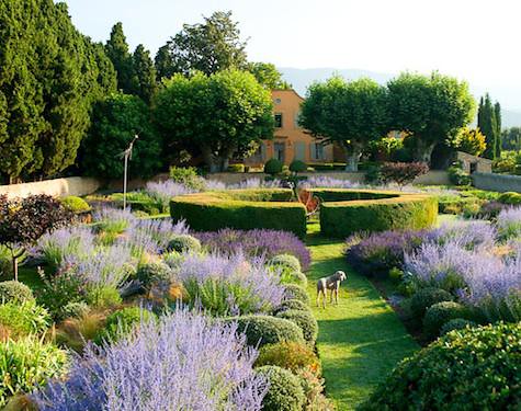 Le Pavillon de Galon in Provence garden