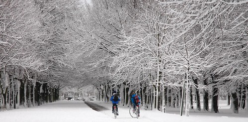 Kids Biking In The Snow