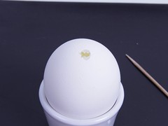 Egg with widened hole
