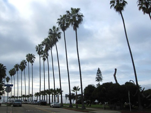 San Diego 2010