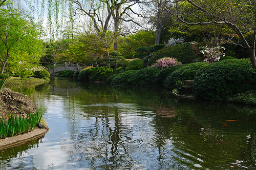 FW Japanese Gardens 1