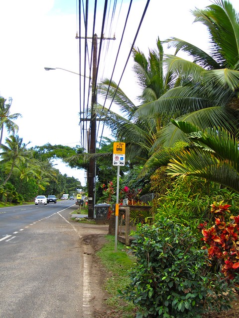 Bus Stop, Hawaii, Oahu, North Shore
