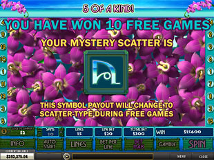 free Thai Paradise slot mysterious scatter