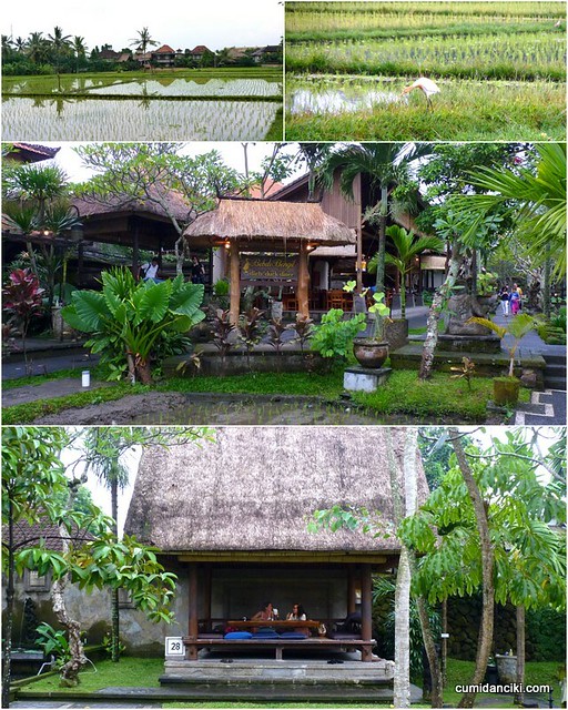 Bali Josen