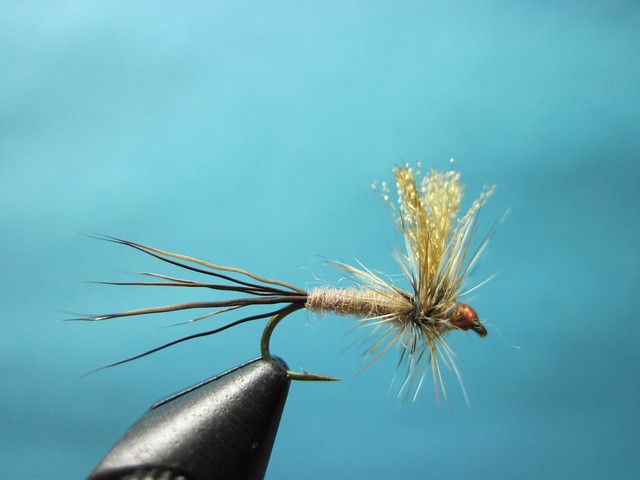 March Brown Thorax Fly Tying Video | The Caddis Fly: Oregon Fly Fishing ...