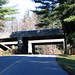 Biltmore Highway Overpass • <a style="font-size:0.8em;" href="http://www.flickr.com/photos/26088968@N02/5440860696/" target="_blank">View on Flickr</a>