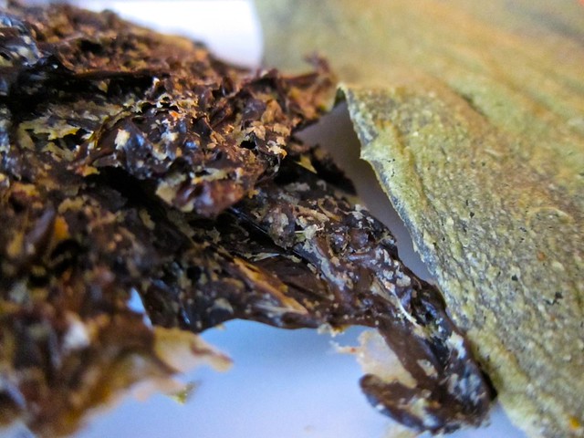 Dulse and kelp chips