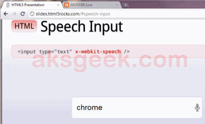 Chrome 11 Beta-speech input