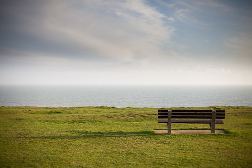 The bench