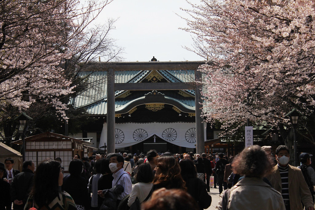 Sakura Photo 2011Yasukuni Shrine (6)