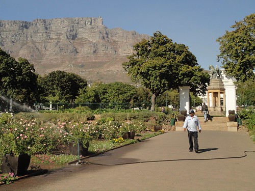 Gardens and Table Mountain