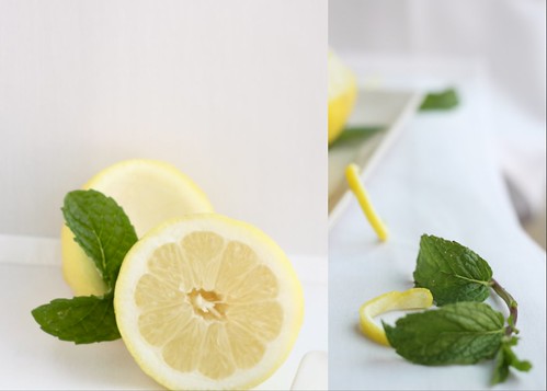 Lemon Granita with Splenda