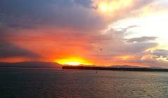 Sunset Tauranga • <a style="font-size:0.8em;" href="http://www.flickr.com/photos/34335049@N04/14129783031/" target="_blank">View on Flickr</a>