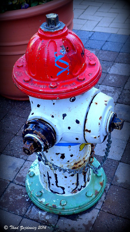 Dalmatian fire hydrant<br/>© <a href="https://flickr.com/people/40632439@N00" target="_blank" rel="nofollow">40632439@N00</a> (<a href="https://flickr.com/photo.gne?id=14347568614" target="_blank" rel="nofollow">Flickr</a>)