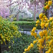 Gramercy Park Spring