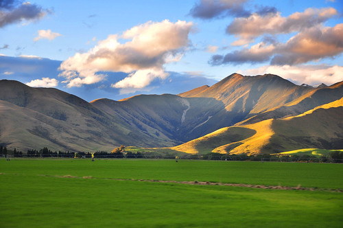 NZ Landscape from the van