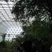 Biosphere2 Marsh • <a style="font-size:0.8em;" href="http://www.flickr.com/photos/26088968@N02/5340877106/" target="_blank">View on Flickr</a>