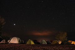 camp night stars