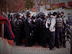 Seoul Riot Police
