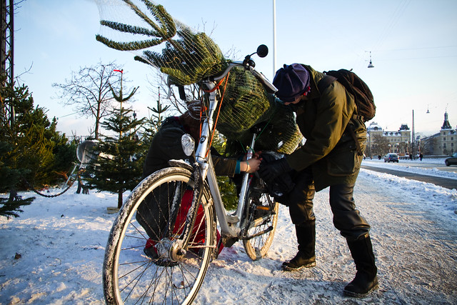 Christmas Tree Bicycle 03