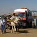 Truck disembarks Atbara ferry, Sudan
