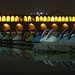 Swans pedlows on Zayandeh river - Isfahan