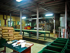 Чайная фабрика Mackwoods