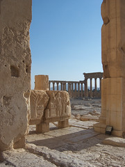 Relief and Colonnade at Palmyra