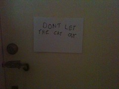 DON'T LET THE CAT OUT