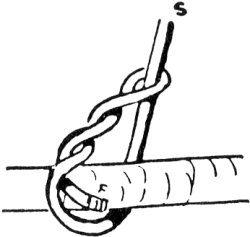 Timber hitch